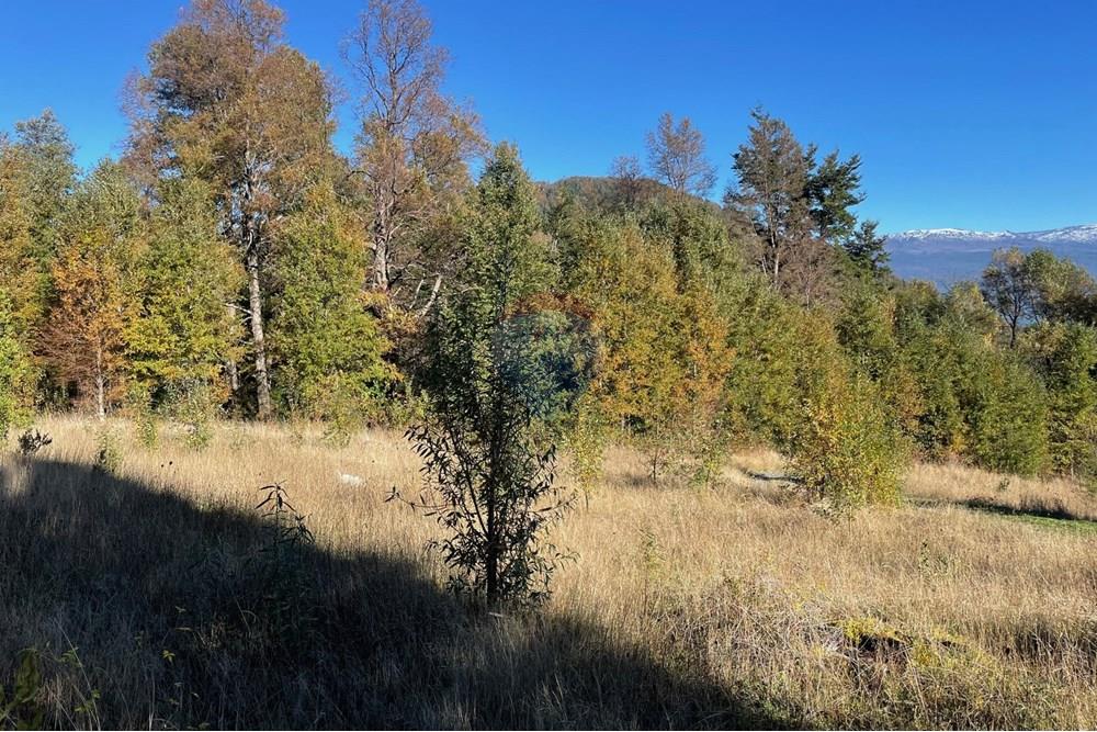 Terreno en venta en Pucón — foto 4