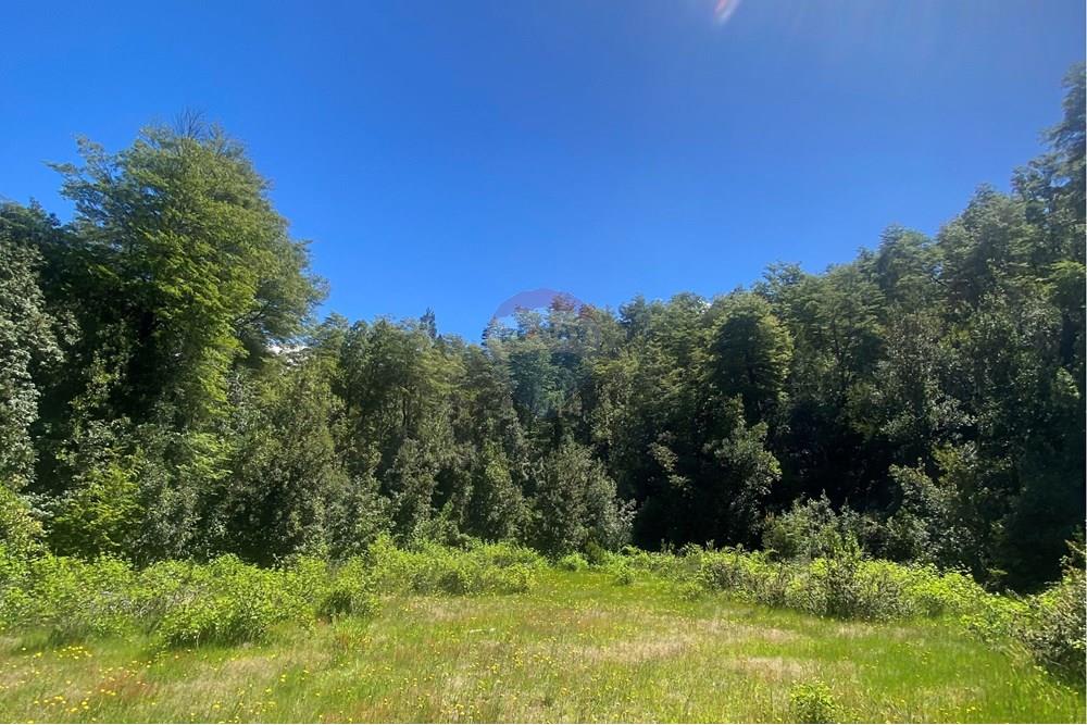 Terreno en venta en Curarrehue — foto 1
