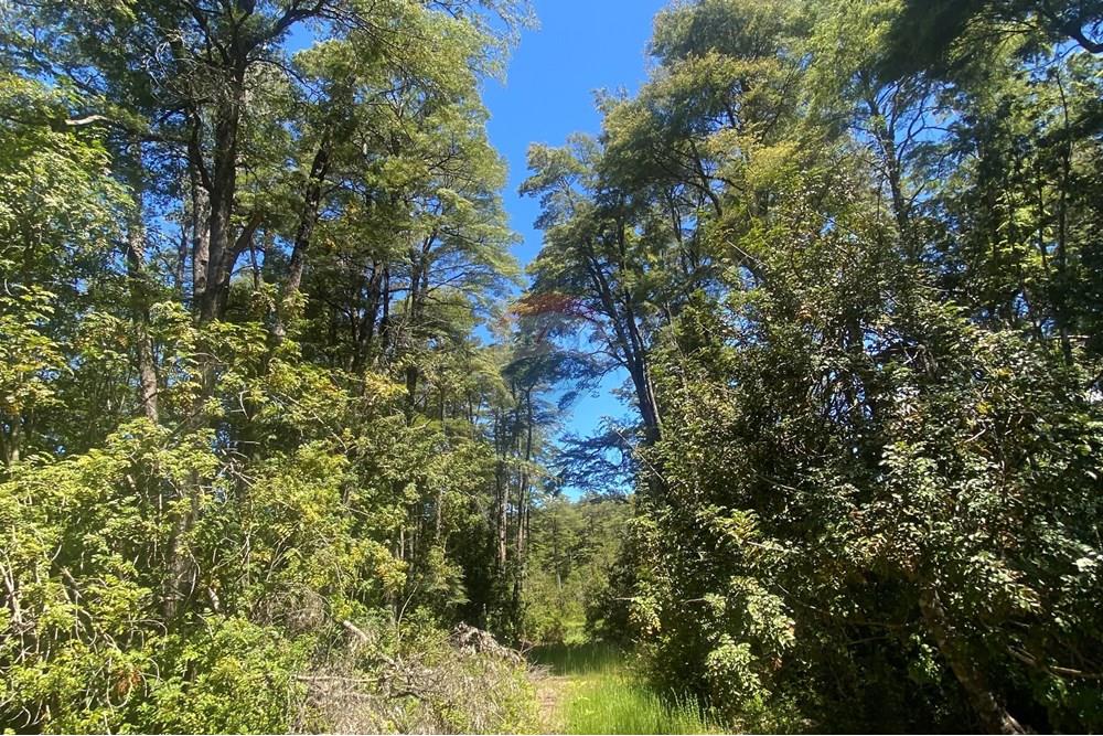 Terreno en venta en Curarrehue — foto 4