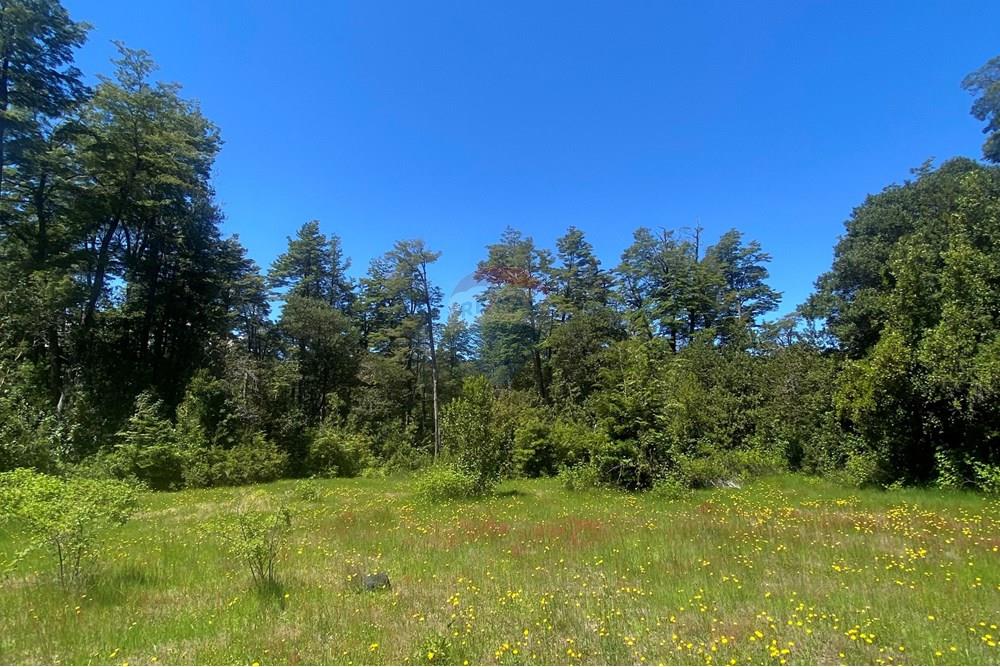 Terreno en venta en Curarrehue — foto 5