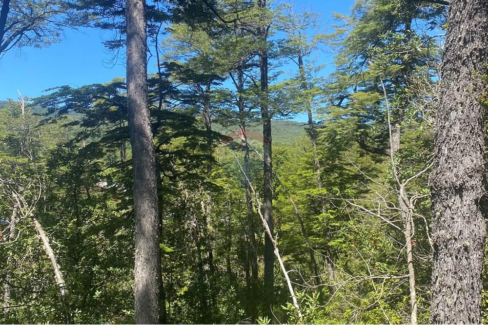 Terreno en venta en Curarrehue — foto 7