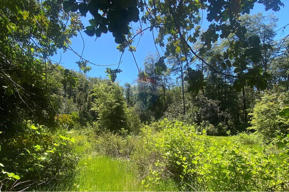 Terreno en venta en Curarrehue — foto 10