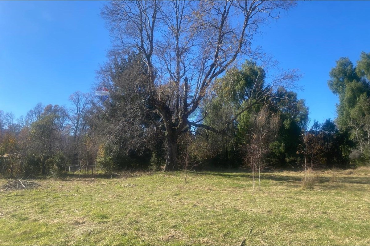 Parcela en venta en Pucón — foto 3