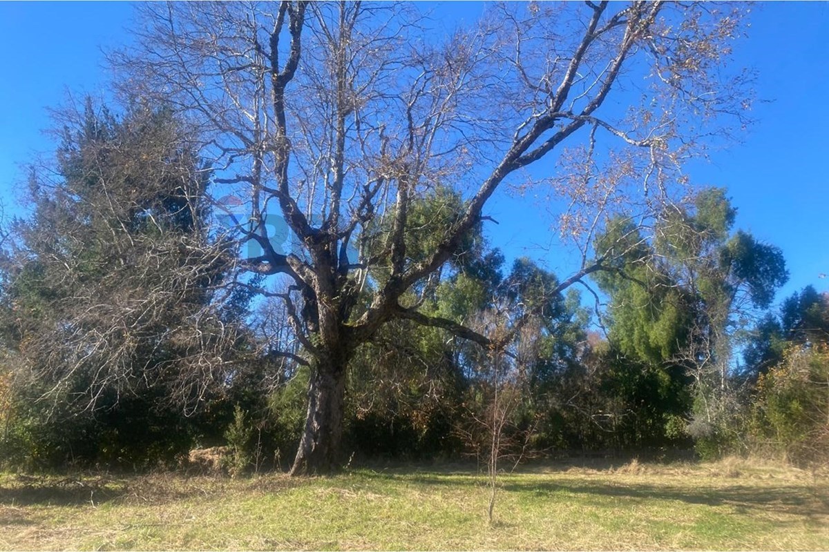 Parcela en venta en Pucón — foto 10