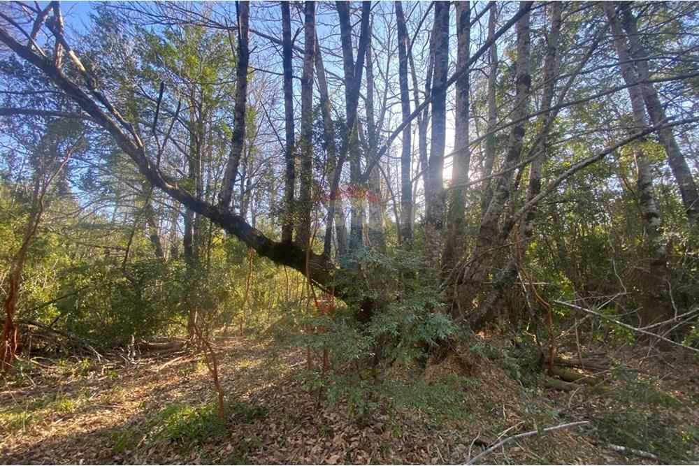 Parcela en venta en Pucón — foto 7
