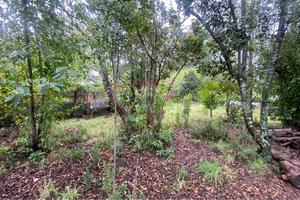 Terreno en venta en Pucón — foto 7