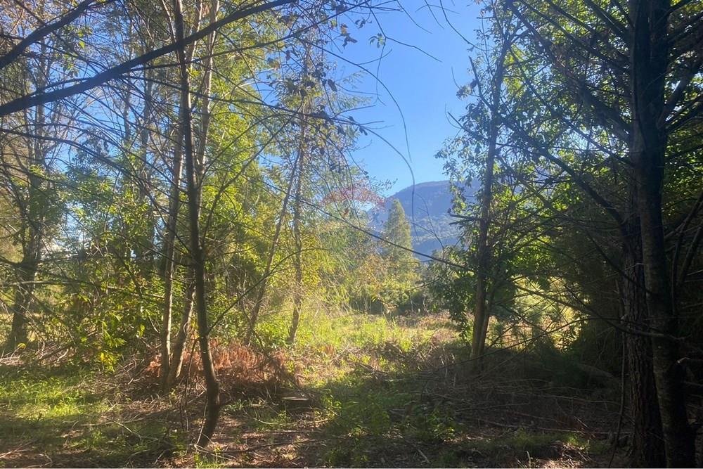Terreno en venta en Pucón — foto 5