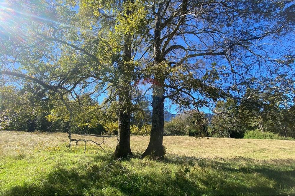 Terreno en venta en Pucón — foto 7