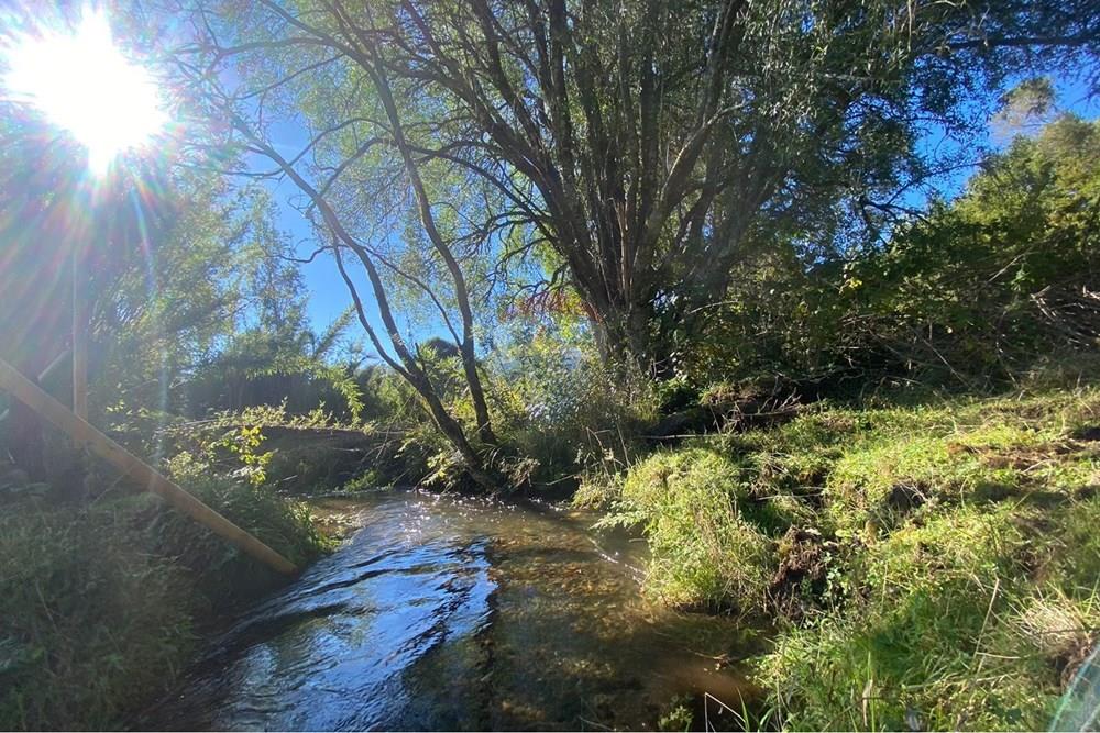 Terreno en venta en Pucón — foto 8