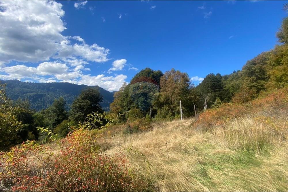 Parcela en venta en Pucón — foto 1