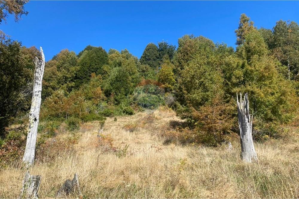 Parcela en venta en Pucón — foto 10