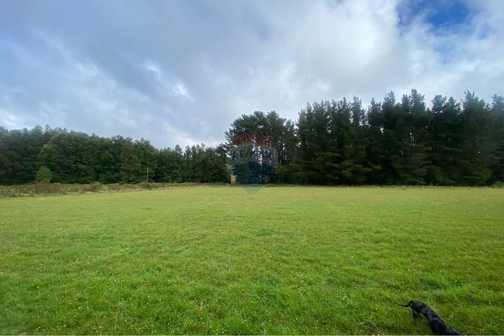 Terreno en venta en Pucón — foto 3