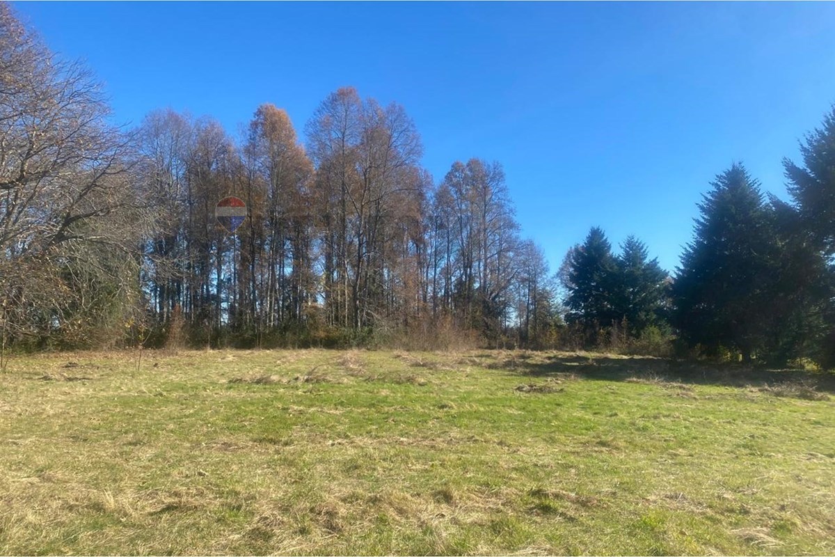 Terreno en venta en Pucón — foto 4