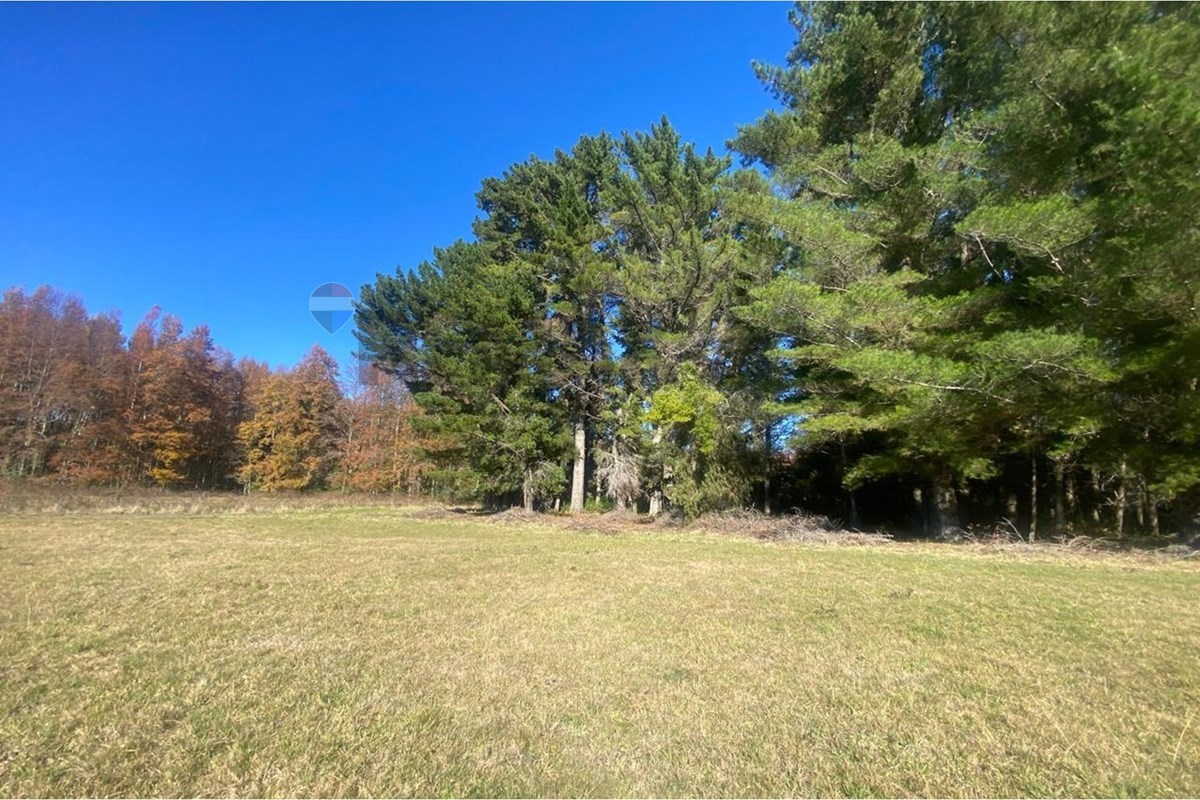 Terreno en venta en Pucón — foto 6