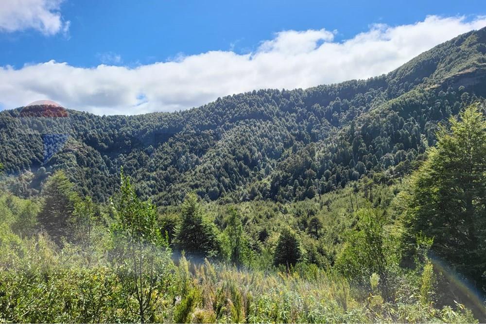 Terreno en venta en Cunco — foto 2