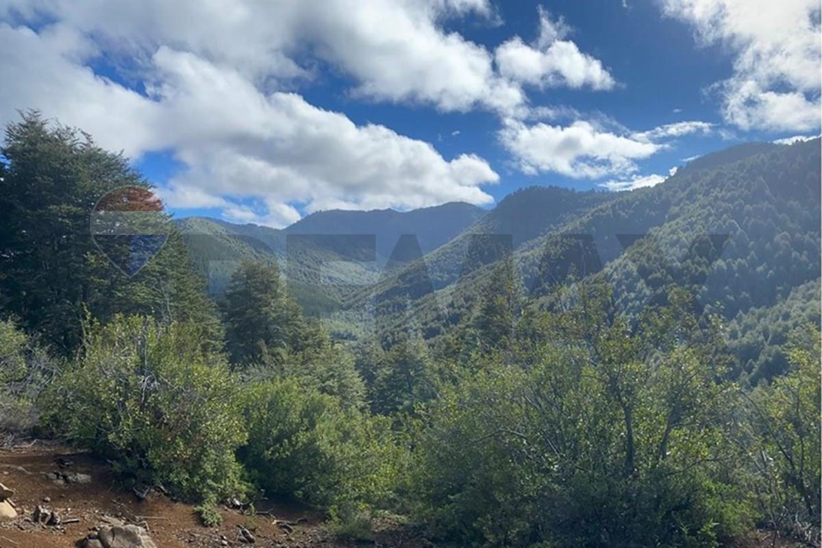 Terreno en venta en Cunco — foto 4