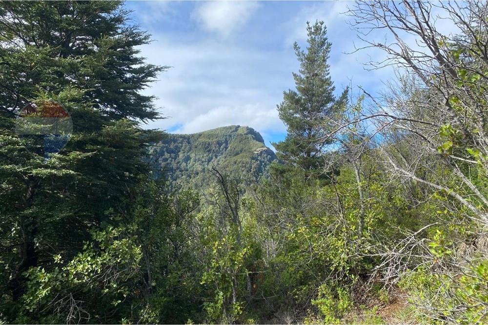 Terreno en venta en Cunco — foto 5