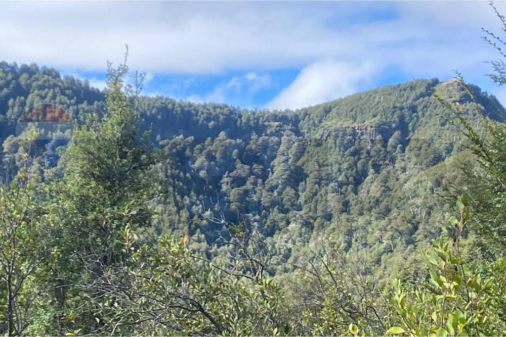 Terreno en venta en Cunco — foto 6
