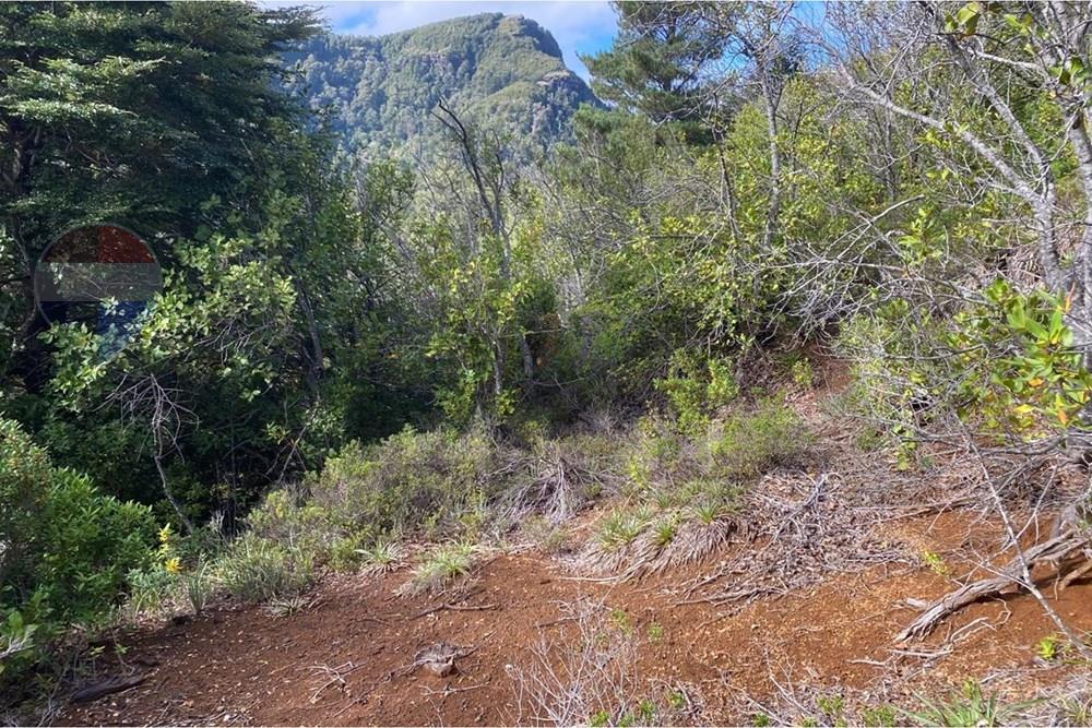 Terreno en venta en Cunco — foto 7
