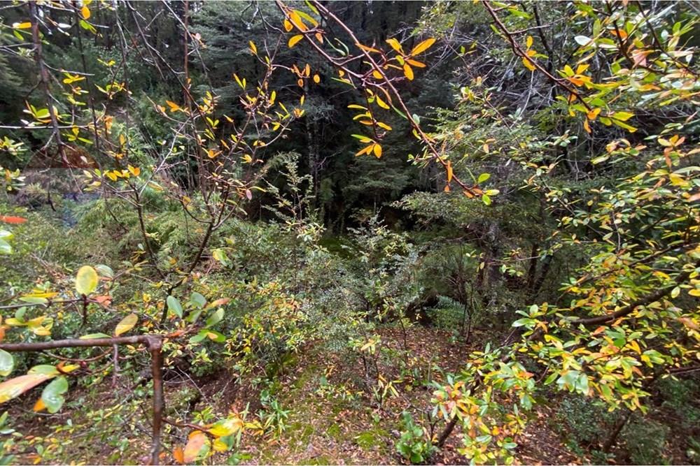 Terreno en venta en Cunco — foto 9
