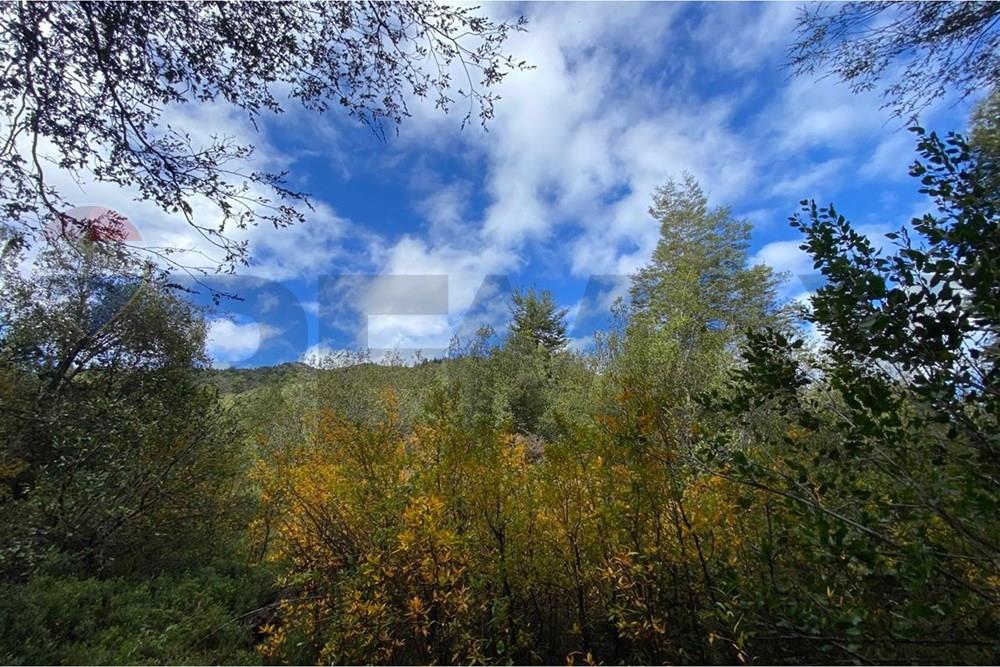Terreno en venta en Cunco — foto 10