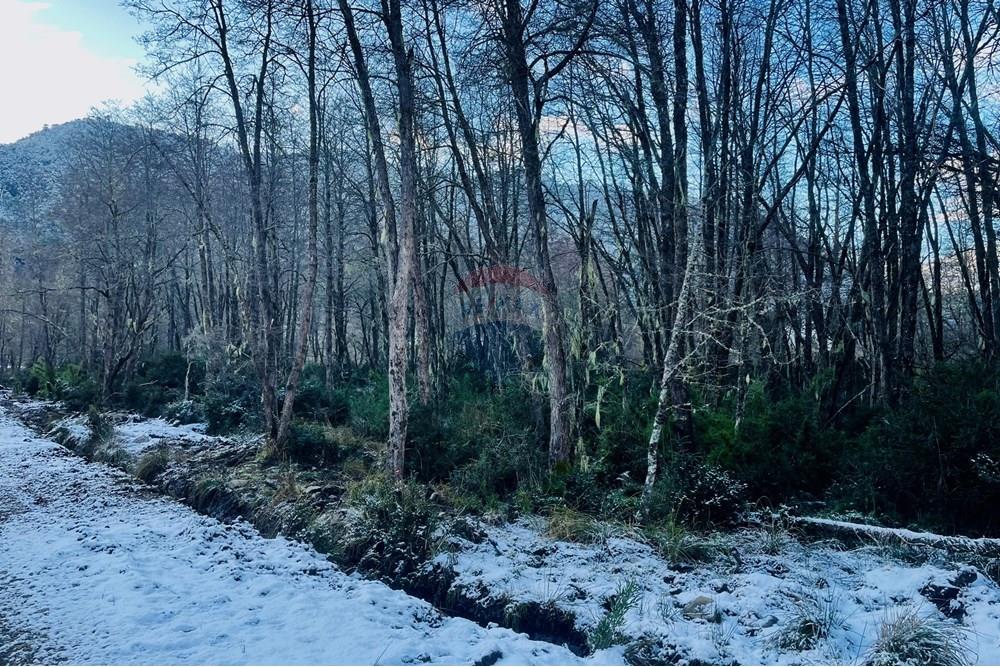 Terreno en venta en Curarrehue — foto 4