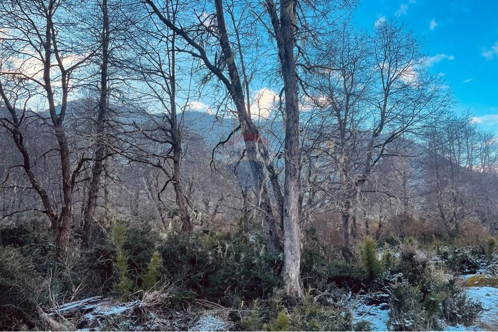 Terreno en venta en Curarrehue — foto 9