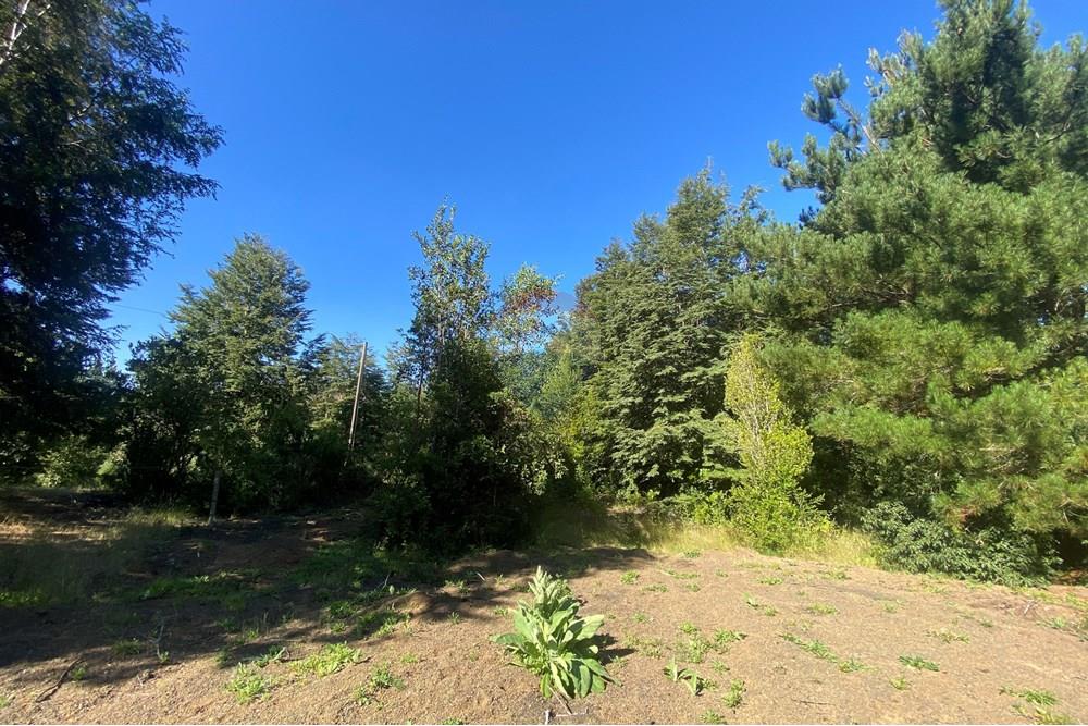 Parcela en venta en Pucón — foto 10