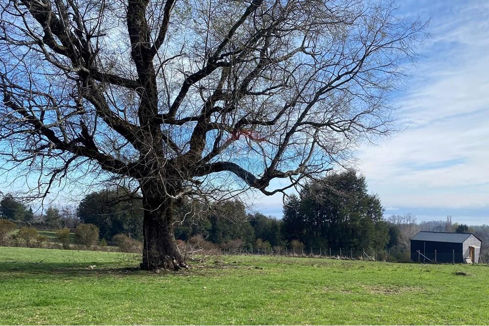 Parcela en venta en Pucón — foto 7