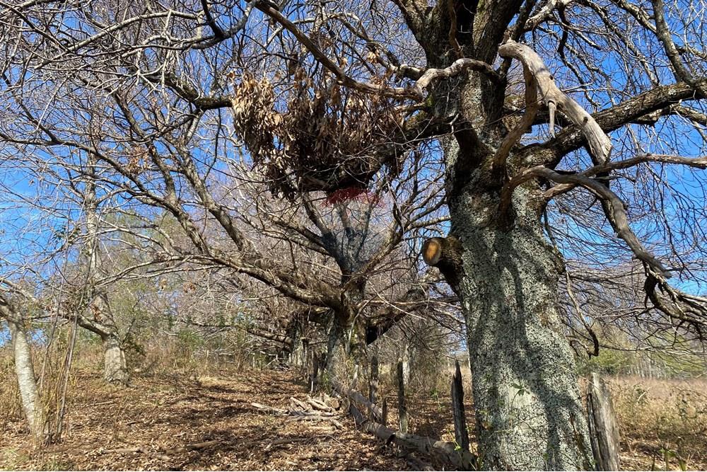 Parcela en venta en Pucón — foto 10