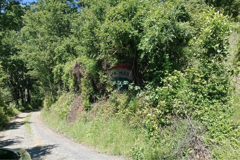 Parcela en venta en Pucón — foto 2