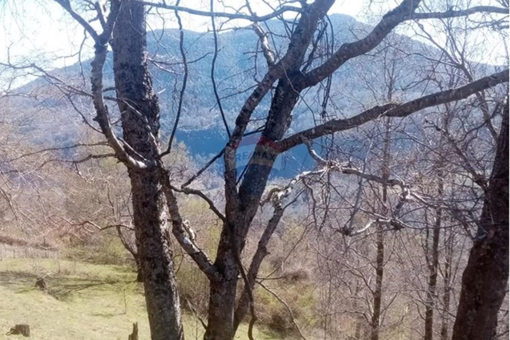 Parcela en venta en Pucón — foto 10