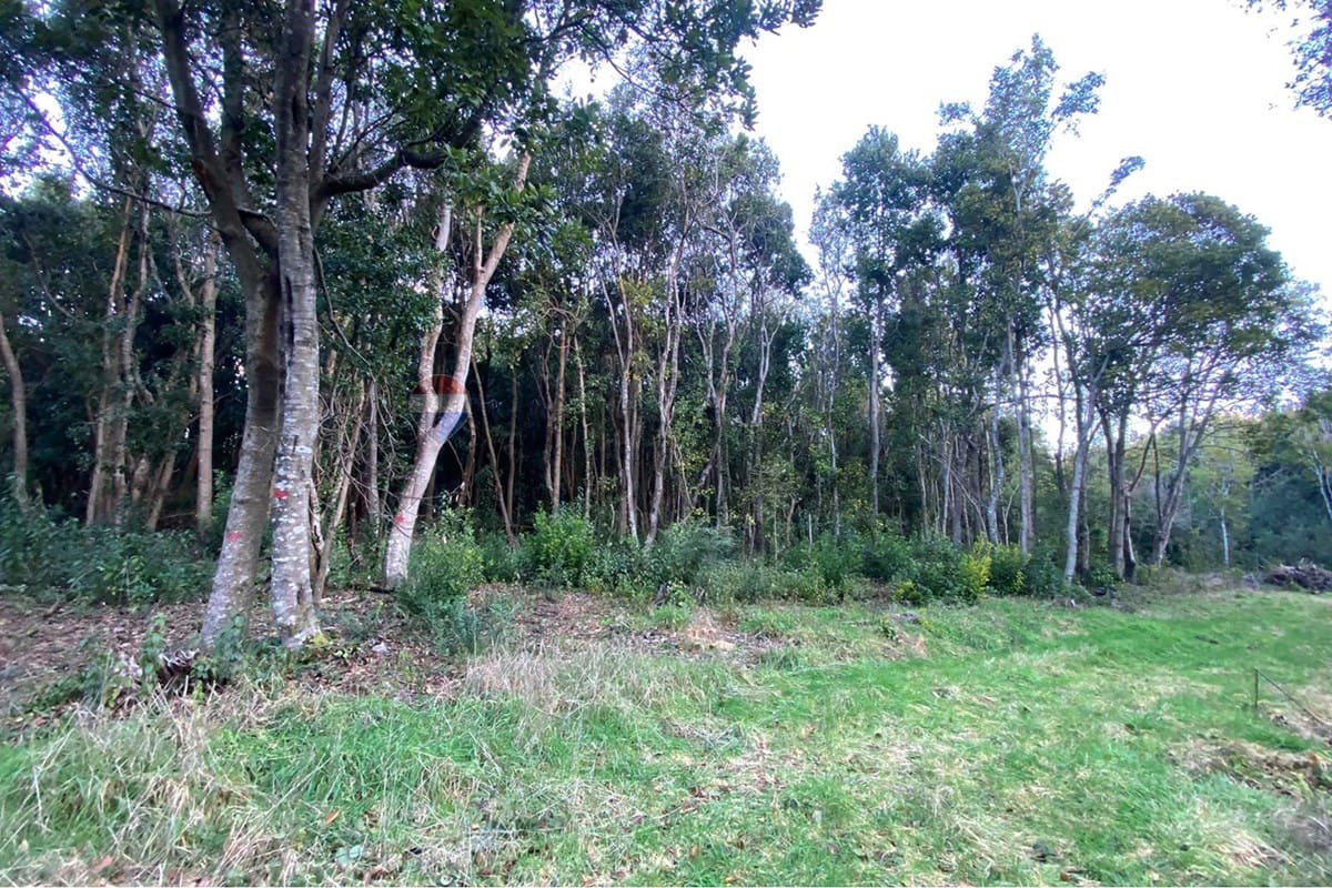 Parcela en venta en Pucón — foto 1