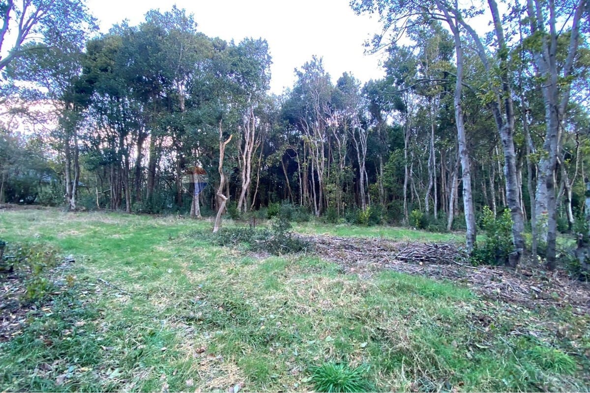 Parcela en venta en Pucón — foto 2