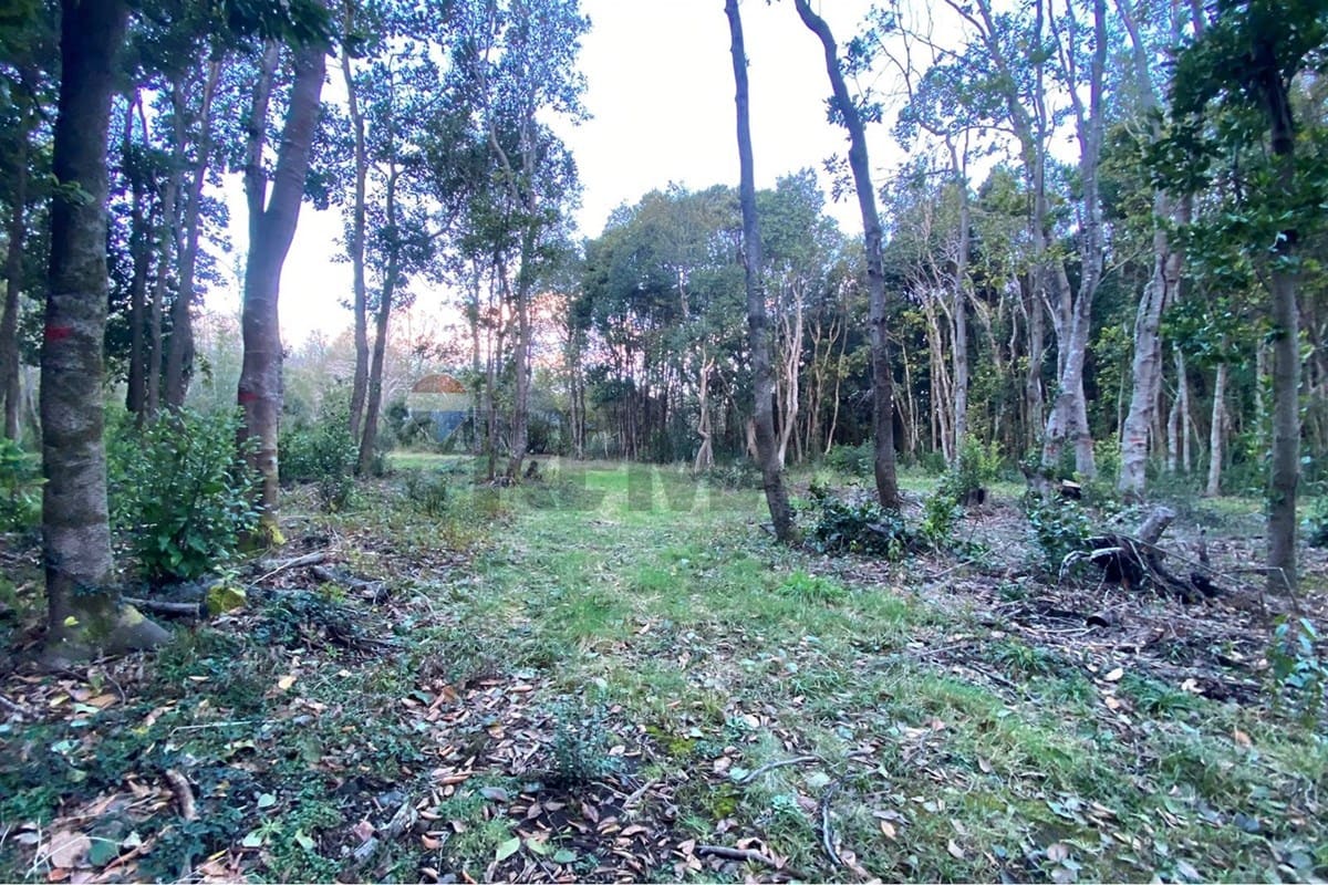 Parcela en venta en Pucón — foto 3