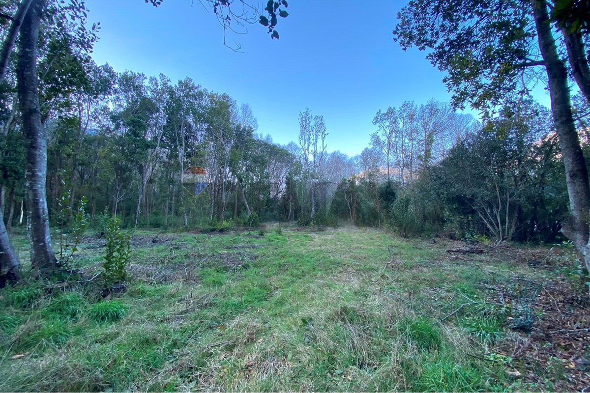 Parcela en venta en Pucón — foto 4