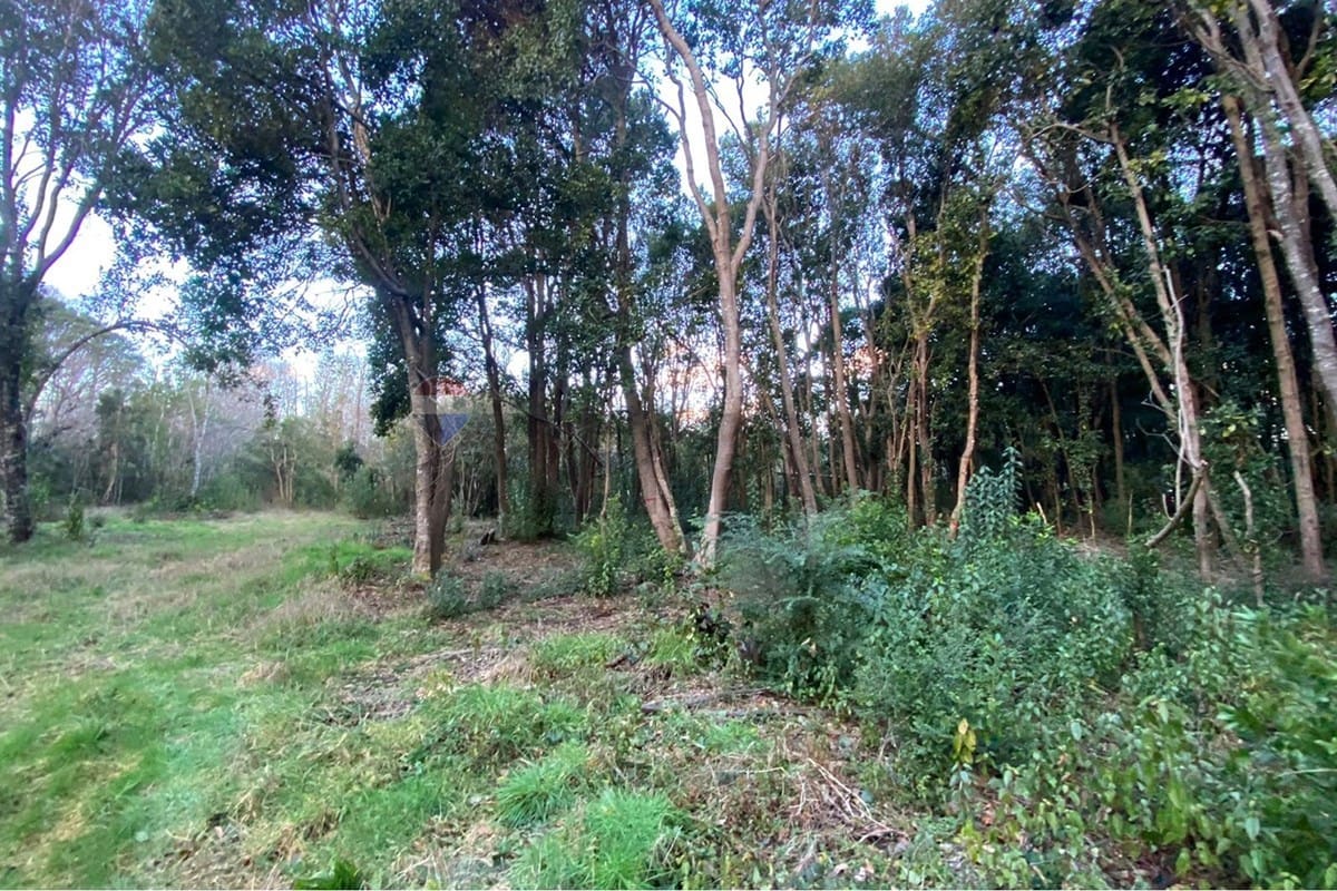 Parcela en venta en Pucón — foto 8