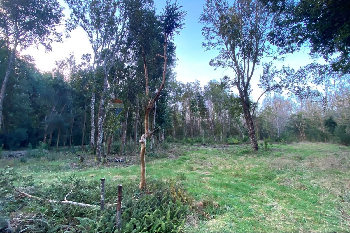 Parcela en venta en Pucón — foto 10