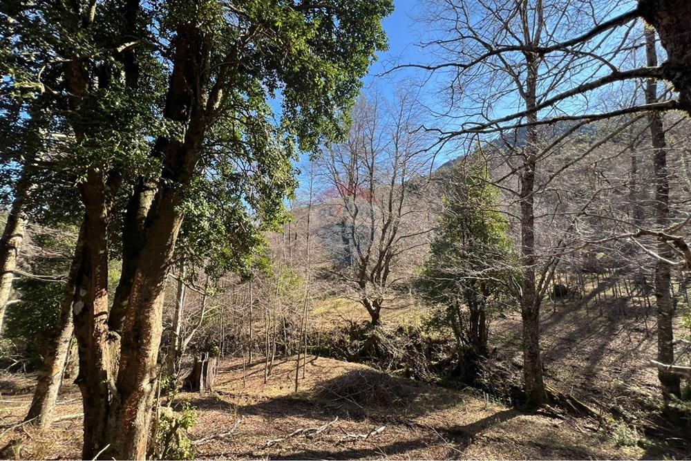 Parcela en venta en Curarrehue — foto 6