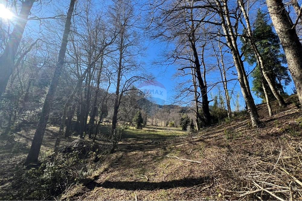 Parcela en venta en Curarrehue — foto 7