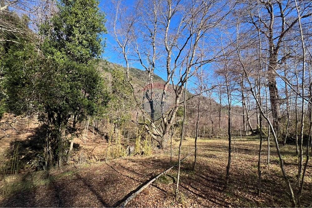 Parcela en venta en Curarrehue — foto 9
