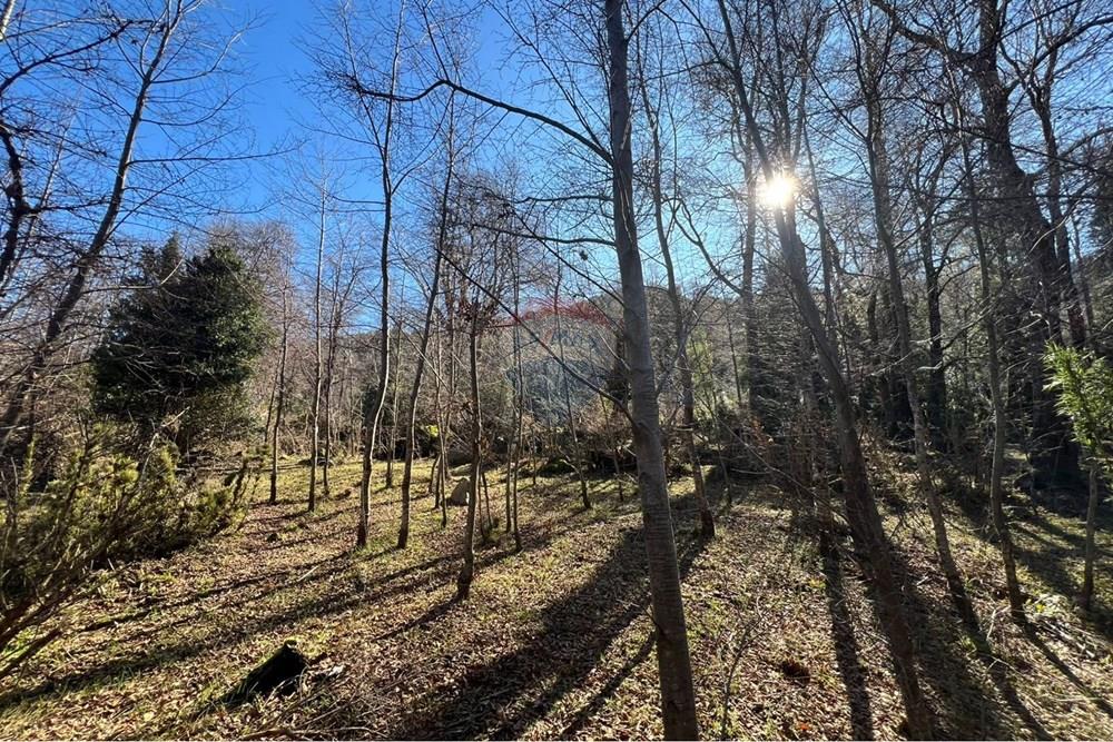 Parcela en venta en Curarrehue — foto 10