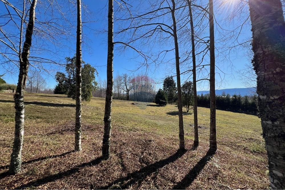 Parcela en venta en Pucón — foto 4