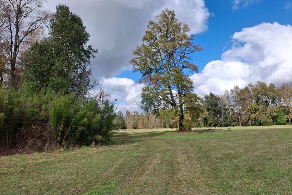 Parcela en venta en Villarrica — foto 1