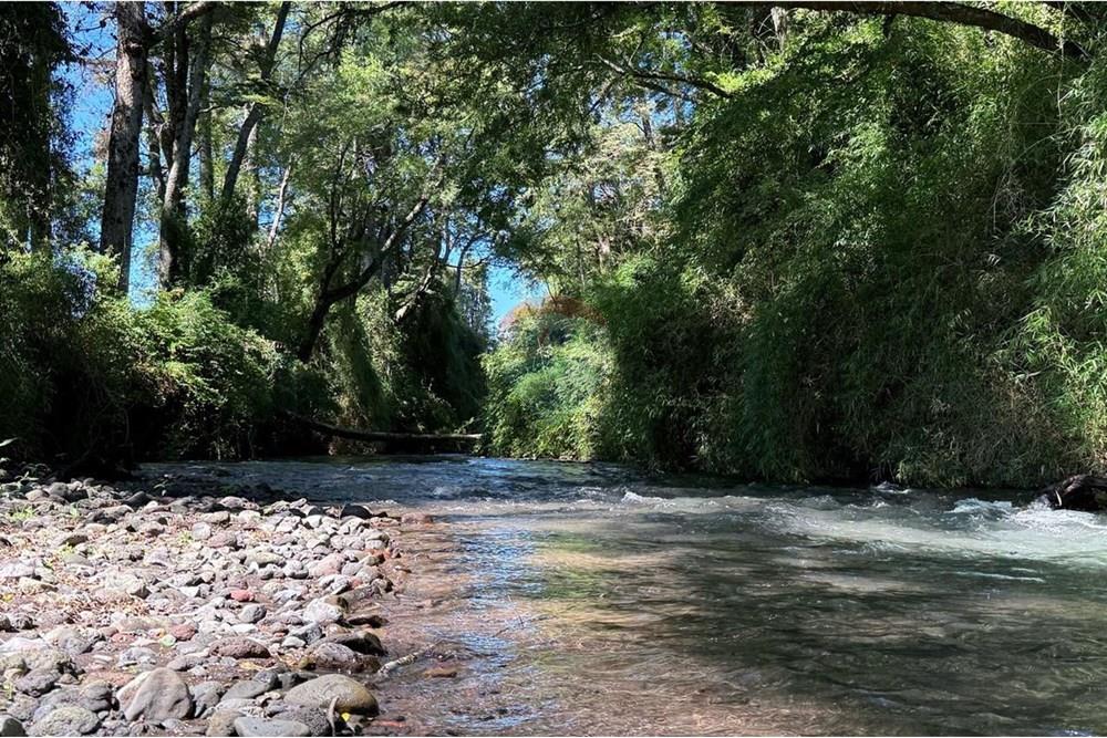 Parcela en venta en Villarrica — foto 2