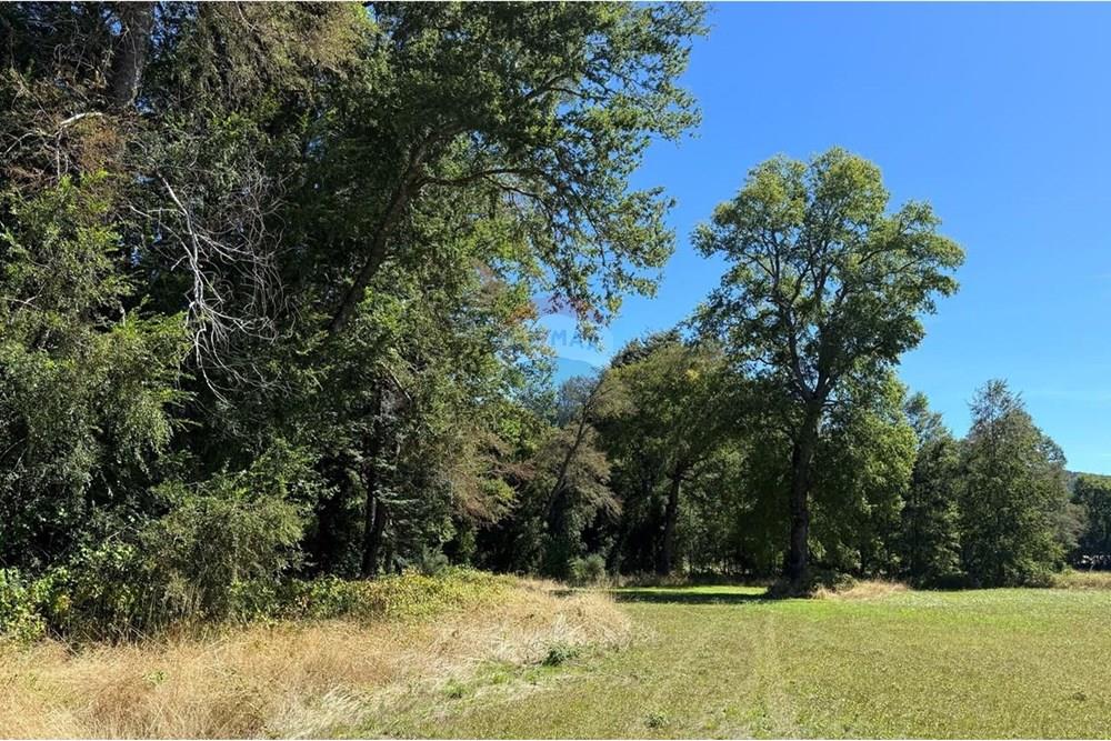 Parcela en venta en Villarrica — foto 4