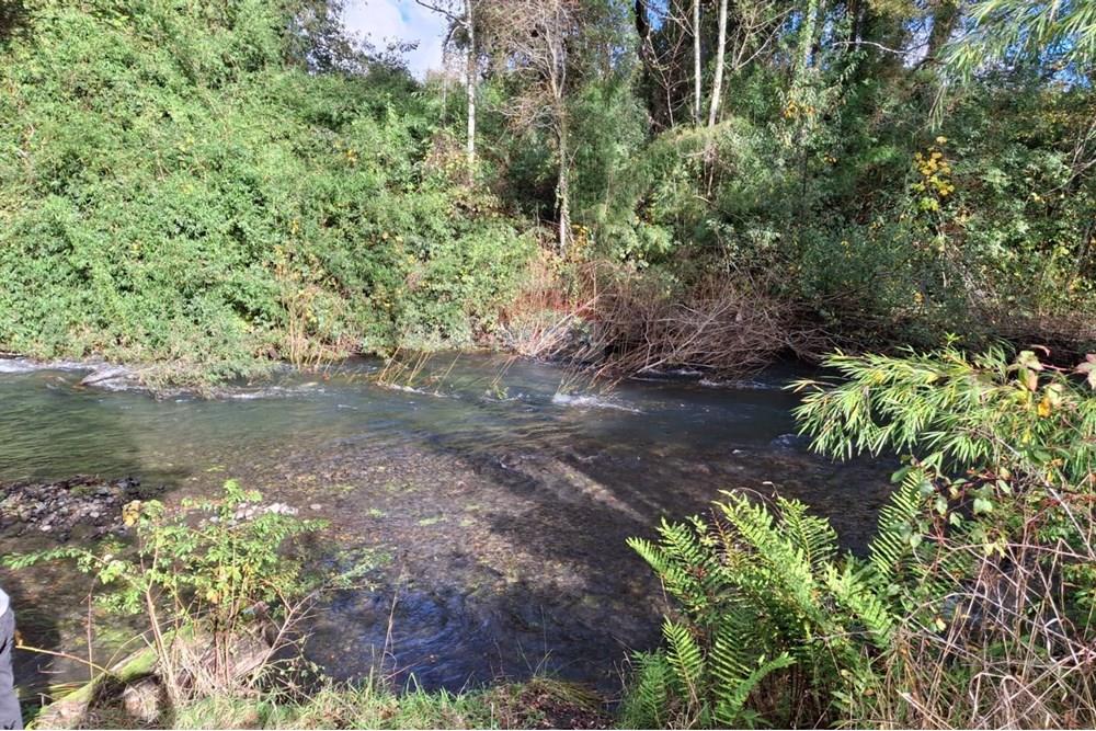 Parcela en venta en Villarrica — foto 5