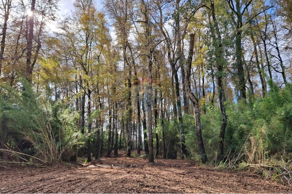 Parcela en venta en Villarrica — foto 6