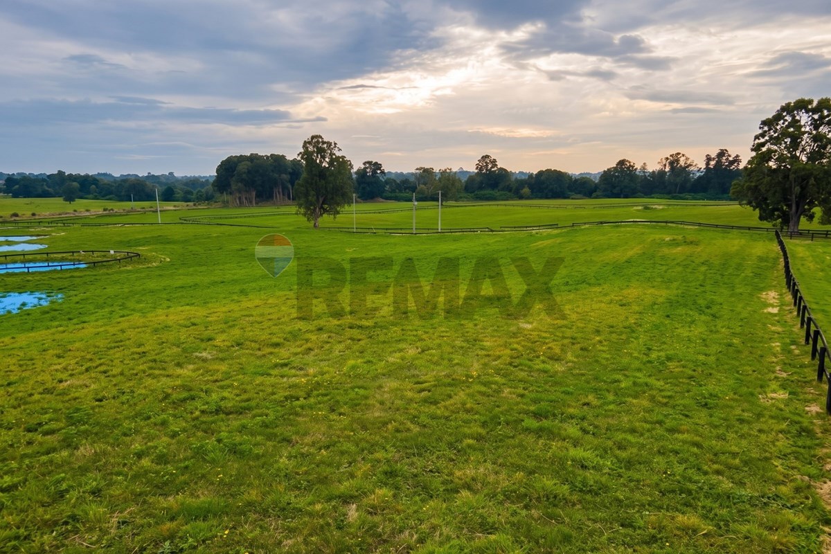 Terreno en venta en Puyehue — foto 10