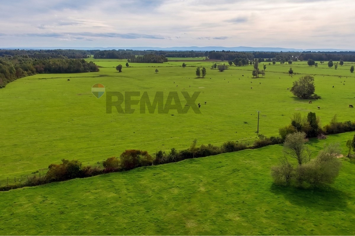 Terreno en venta en Puerto Octay — foto 4